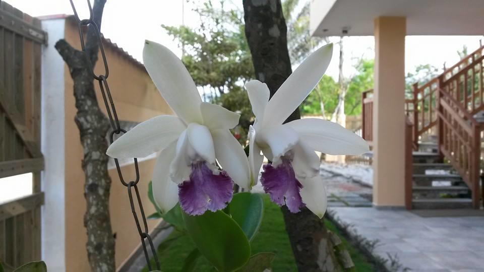 Inn Canto Da Praca Bertioga